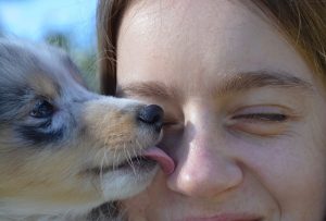 puppy training kisses