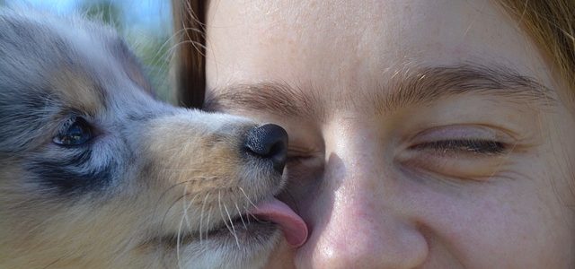 Why Do Puppies Like Kisses?